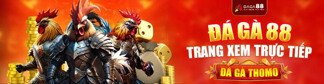 Hình ảnh chính sách cookie 33bet, bảo mật dữ liệu trực tuyến