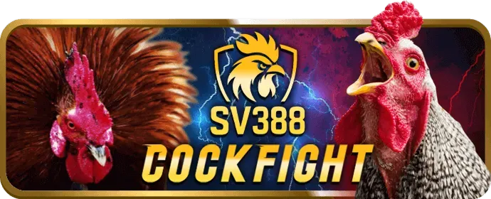Hình ảnh minh họa xác nhận và hoàn tất đăng ký 33BET